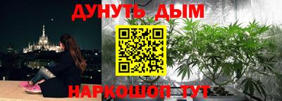 a pvp Моздок