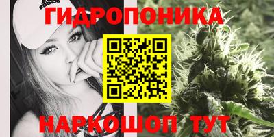 a pvp Моздок