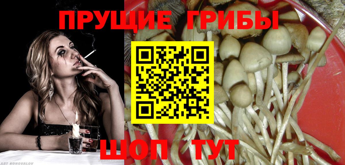 Псилоцибиновые грибы прущие грибы  Вход с VPN  Галлюциногенные грибы ЛСД  Железногорск 