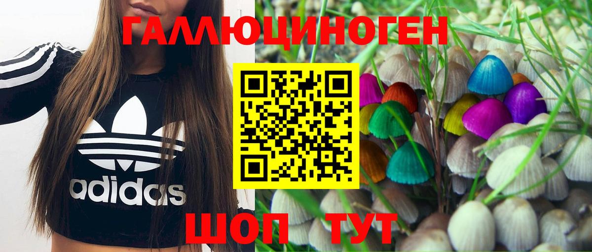 Псилоцибиновые грибы GOLDEN TEACHER Железногорск